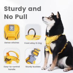 Pawaii harness with reflective strips for night safety and visibility