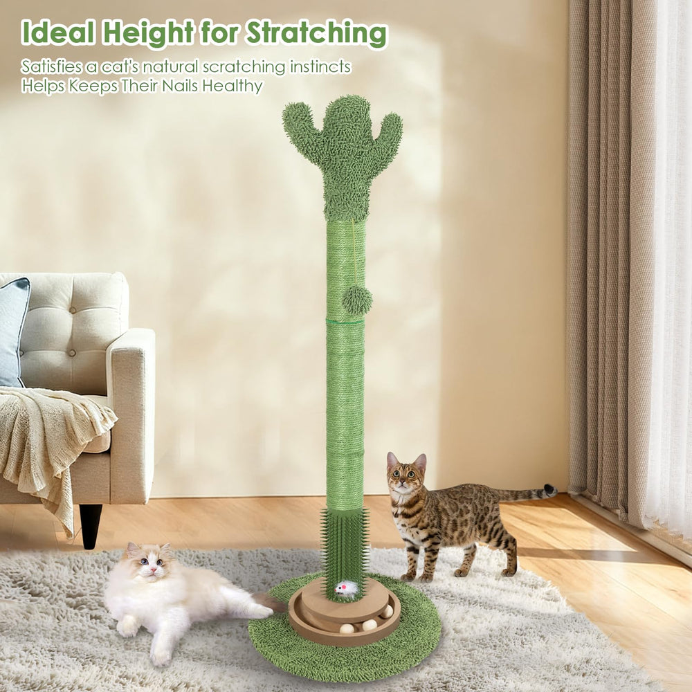 Pawalaya durable sisal ropes offer long-lasting scratching surfaces for cats.