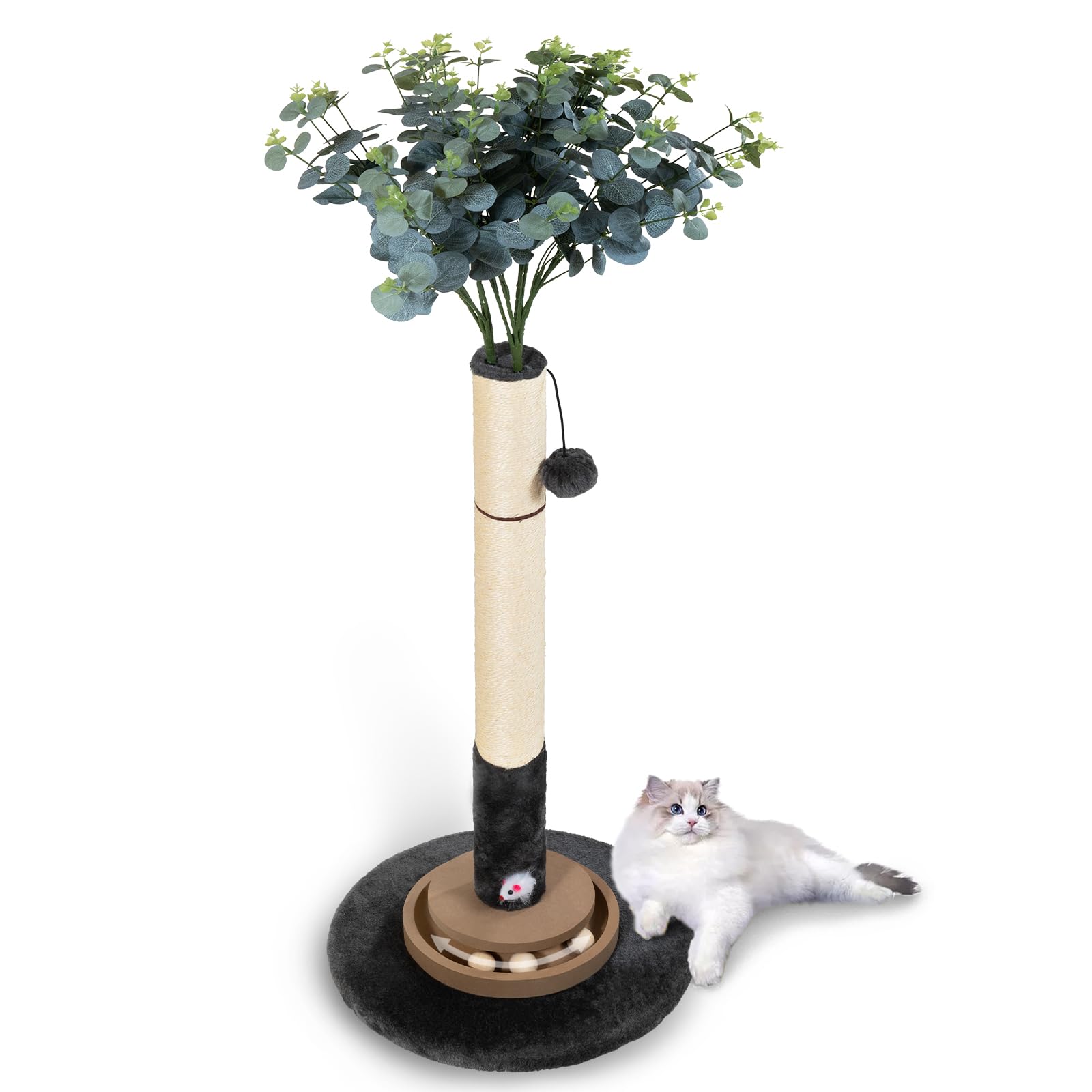 Pawalaya easy-assembly with included tools for quick setup.