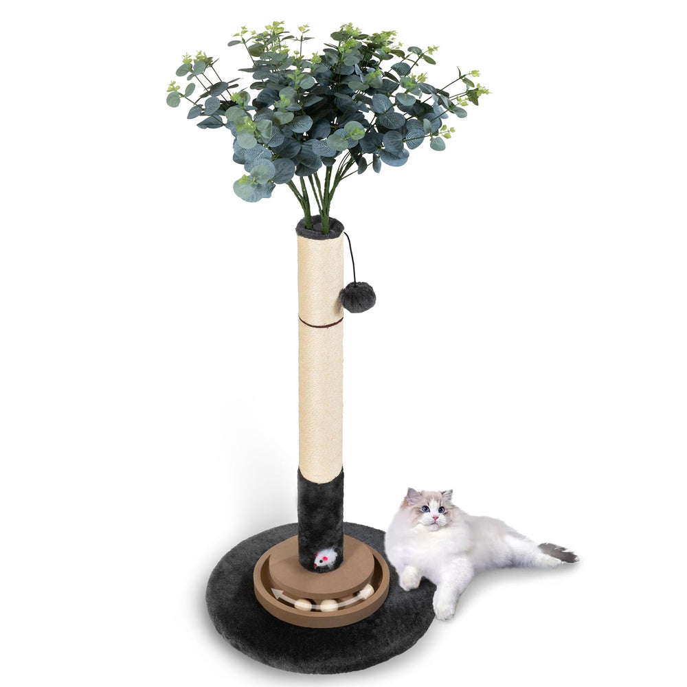Pawalaya easy-assembly with included tools for quick setup.