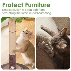 Pawalaya hanging ball and interactive mouse toy invite playful swatting and exploration.