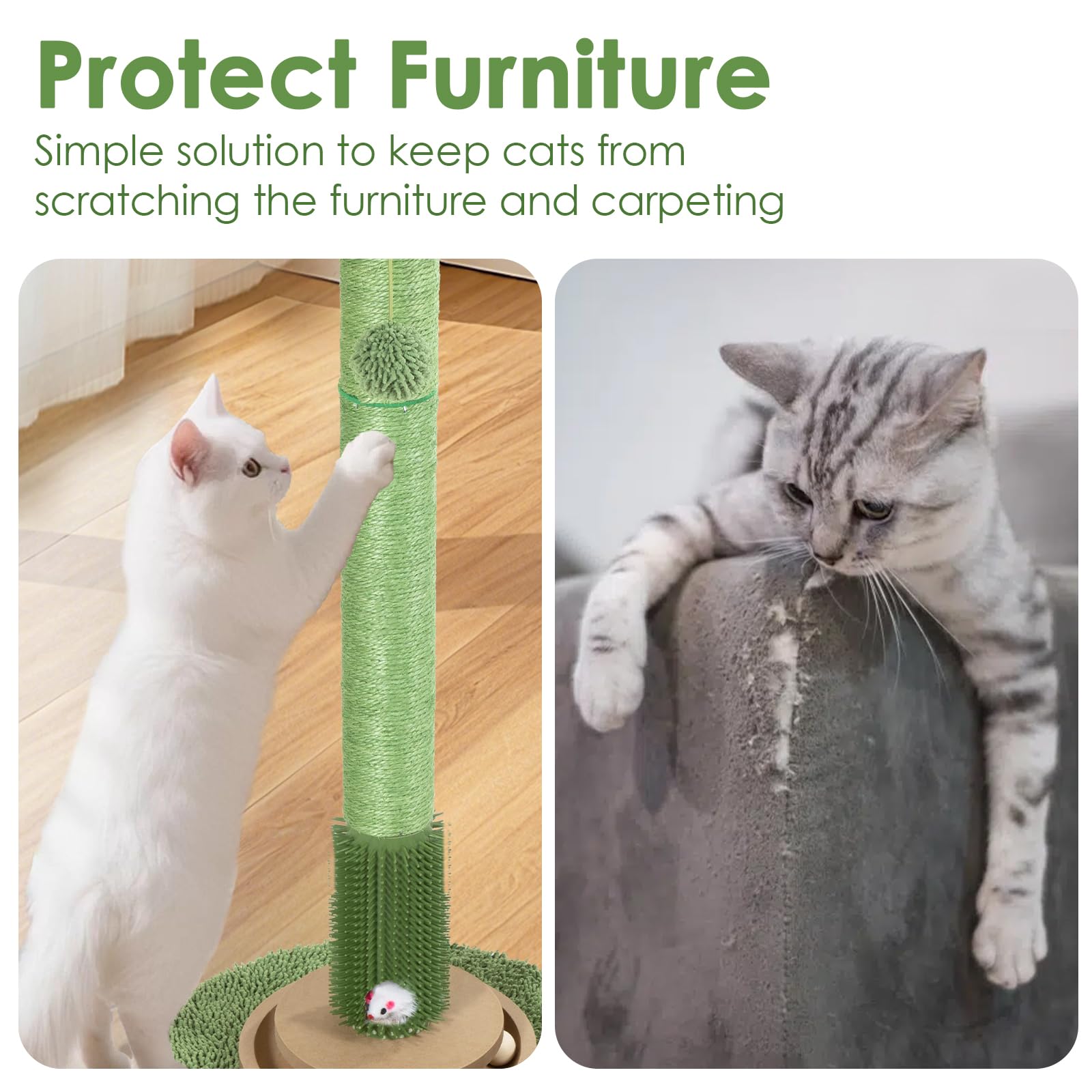 Pawalaya modern green cat tree design blends with home décor stylishly.