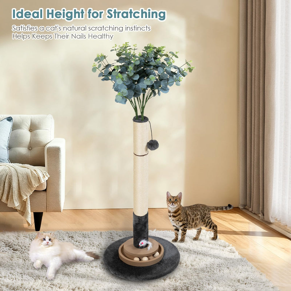 Pawalaya sturdy structure ensures stability during climbs and jumps.