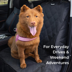 Pawander front seat cover bottom guard shields the seat from moisture and mud.