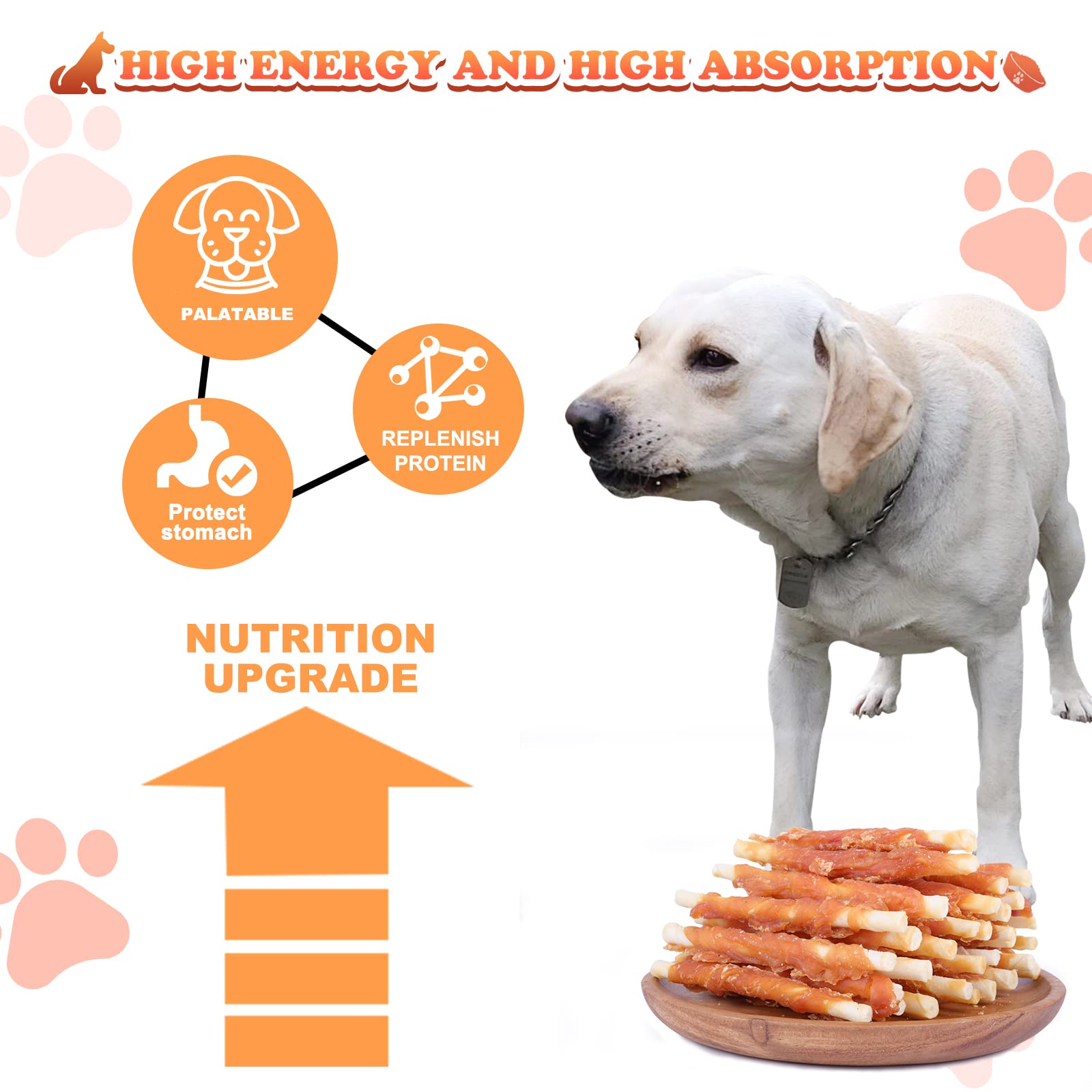 Pawant Puppy Coat Health Chews support nutrition for growing dogs