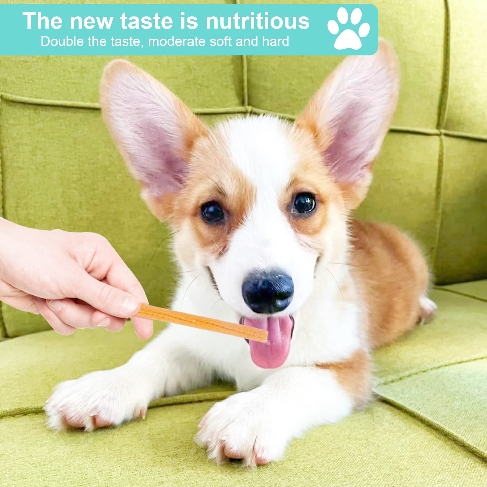 Pawant treats ideal for on-the-go training sessions and quick rewards.