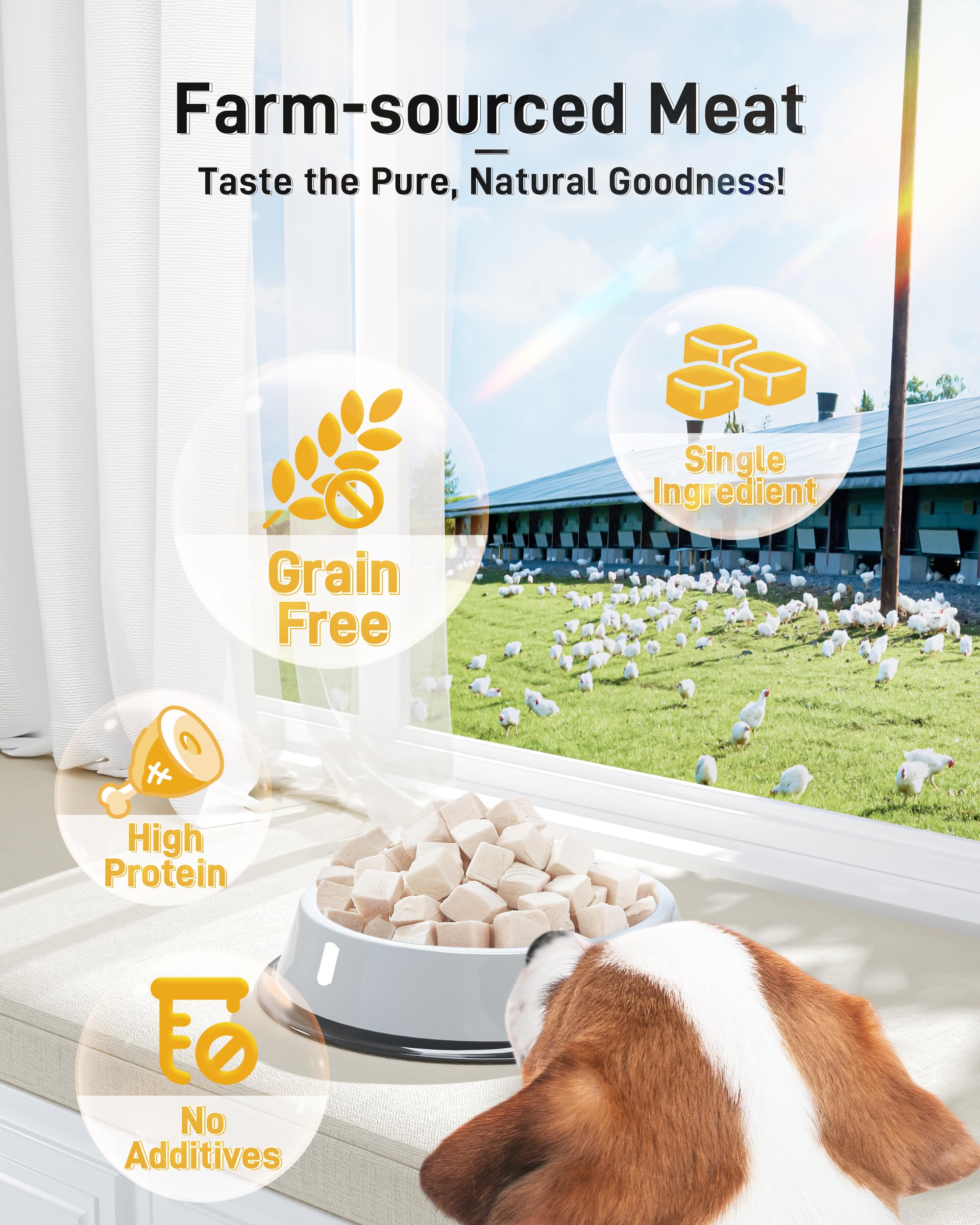 Pawaura 100-percent chicken shows no additives, grains, or flavorings for sensitive stomachs