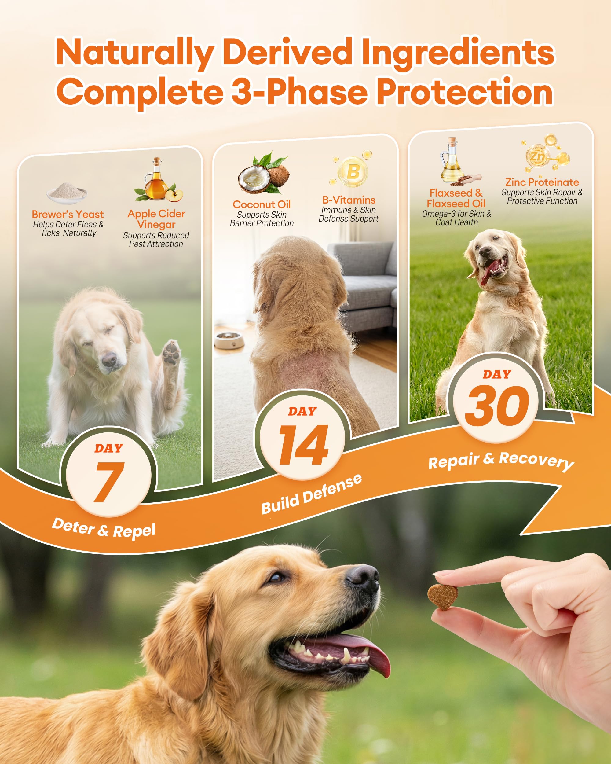 Pawaura Flea & Tick Chews closeup shows soft texture for easy dosing.