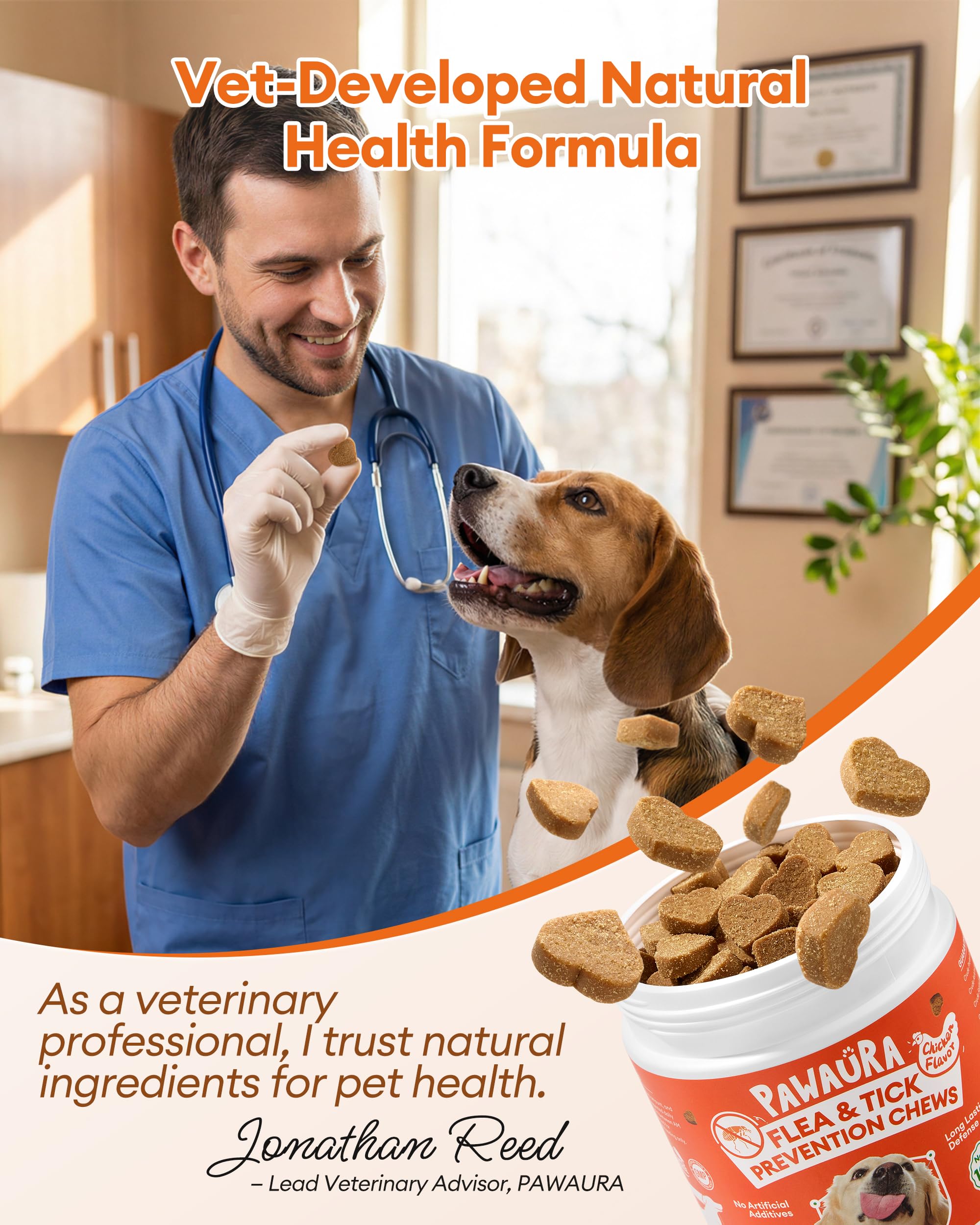 Dog enjoying a Pawaura chew during daily routine.