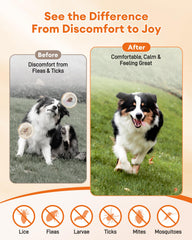 Pawaura chews packaging highlights suitability for all dogs.