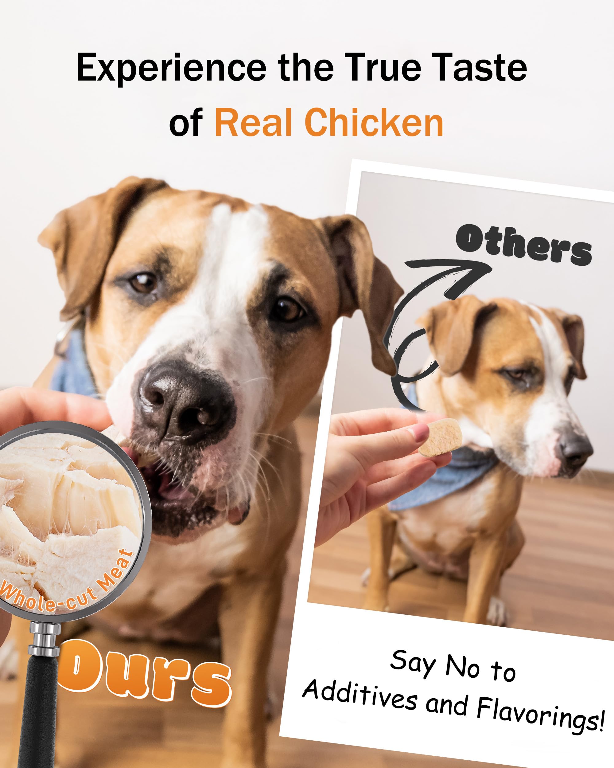 Pawaura for cats and dogs image communicates universal appeal across ages