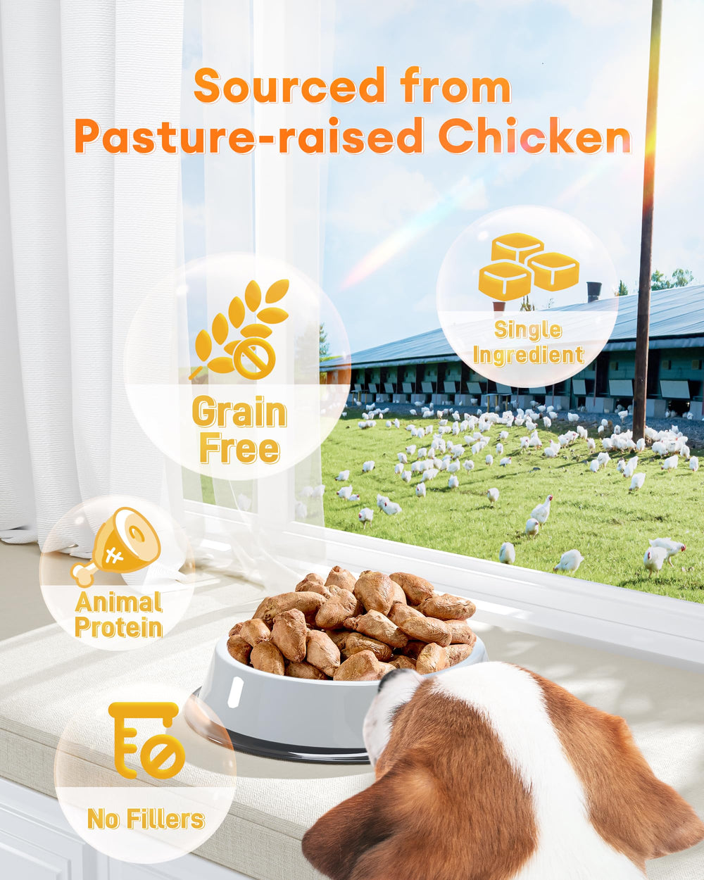 Pawaura Freeze-Dried Chicken Hearts ingredients highlight single-meat composition.