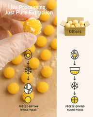 Pawaura freeze-dried quail egg yolk pieces showing texture and bite appeal for pets.