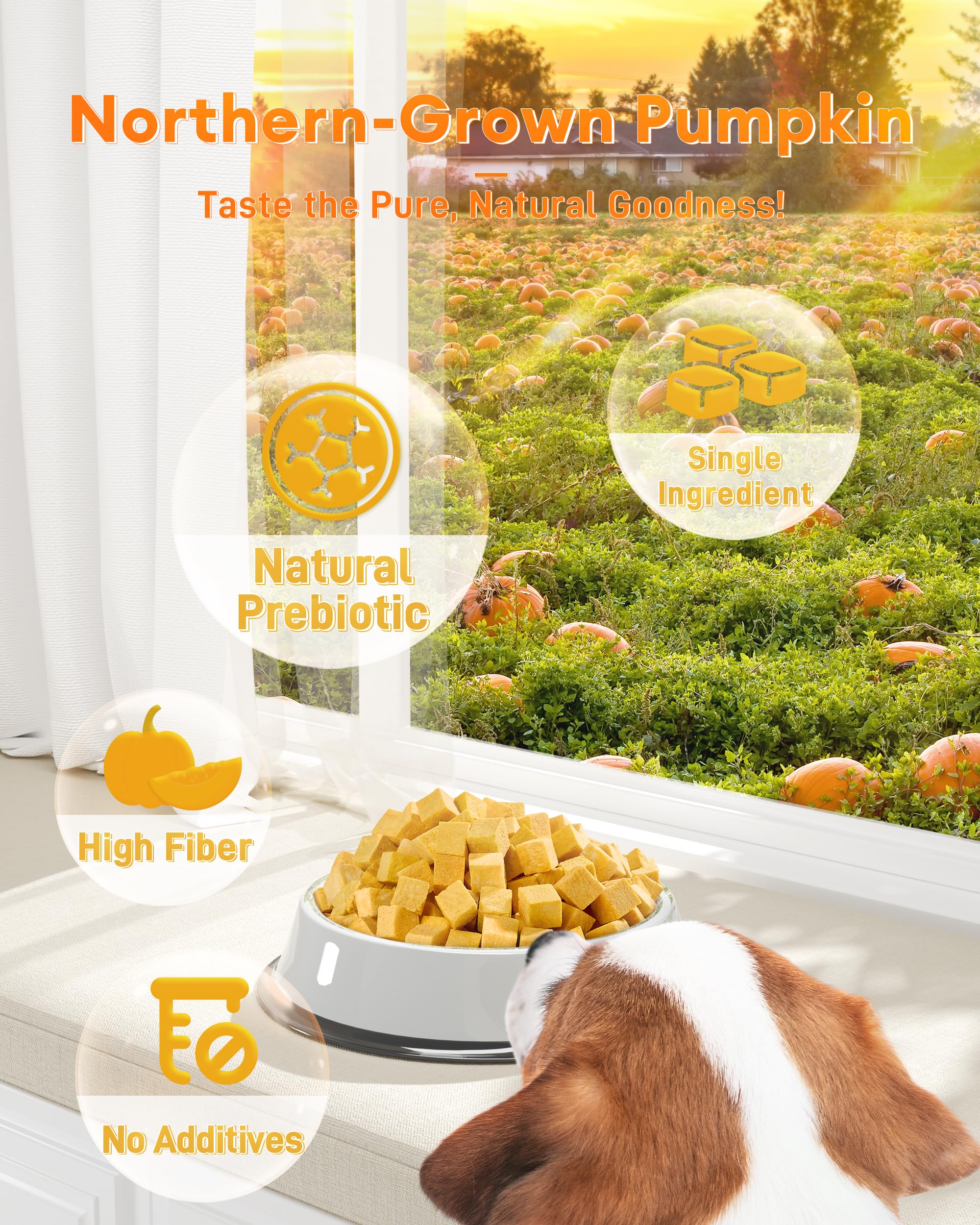 Pawaura grain-free pumpkin treats are gentle on sensitive stomachs.