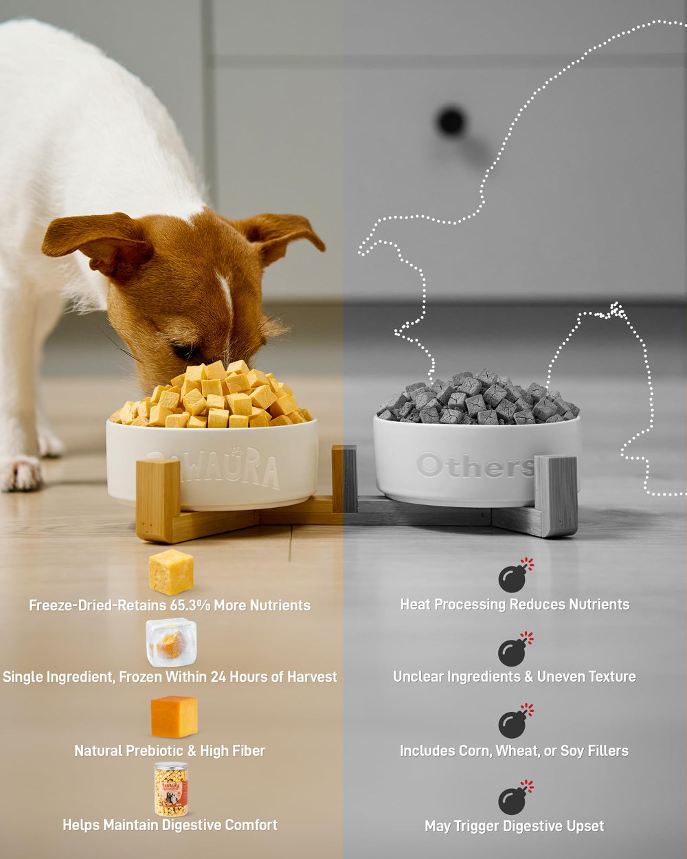Pawaura pumpkin treats—single-ingredient snacks for daily use.