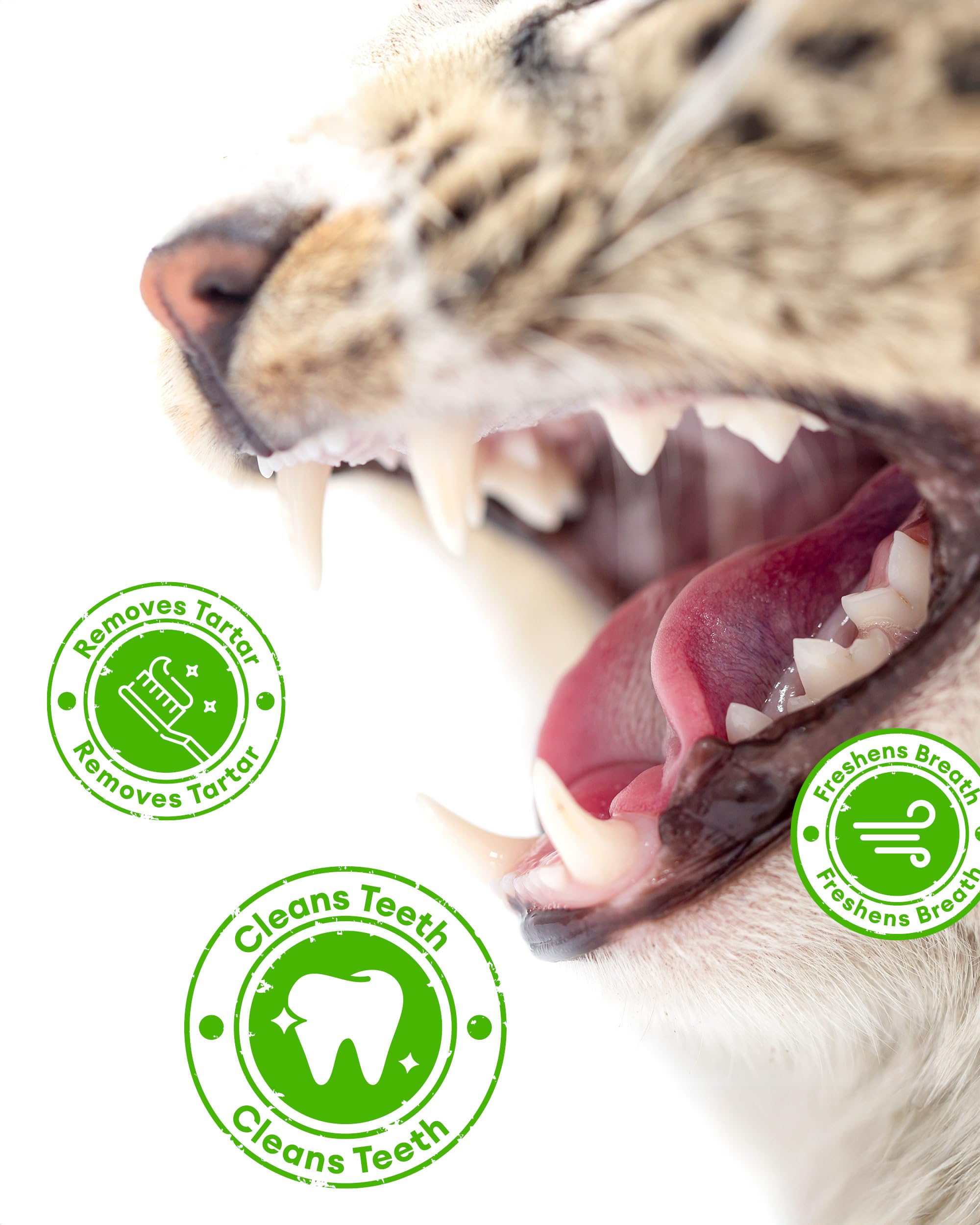 Pawaura resealable tub keeps treats fresh and convenient.