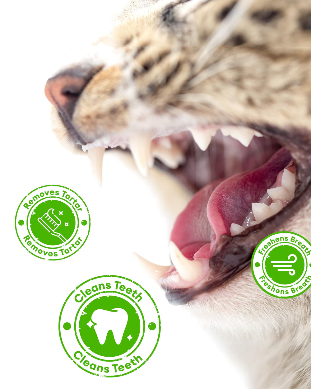Pawaura resealable tub keeps treats fresh and convenient.