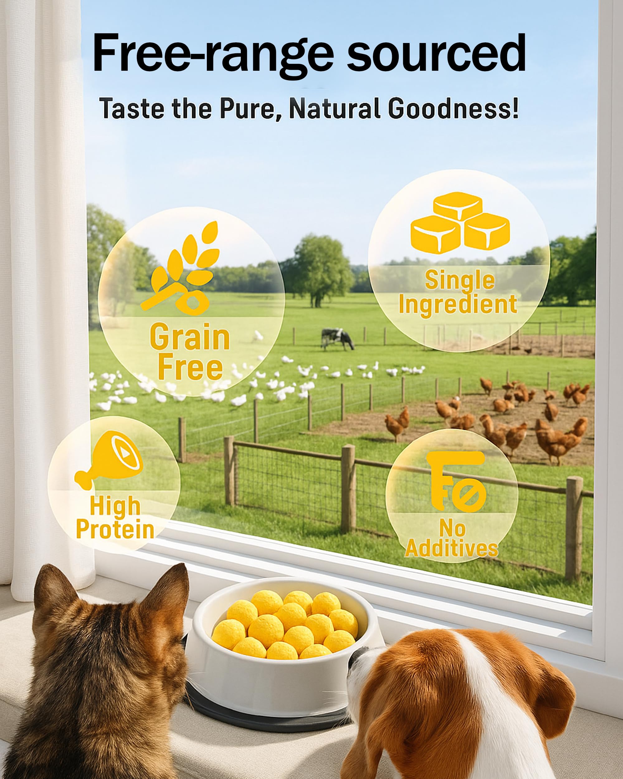 Pawaura single-ingredient treats closeup highlighting clean ingredient profile for pets.