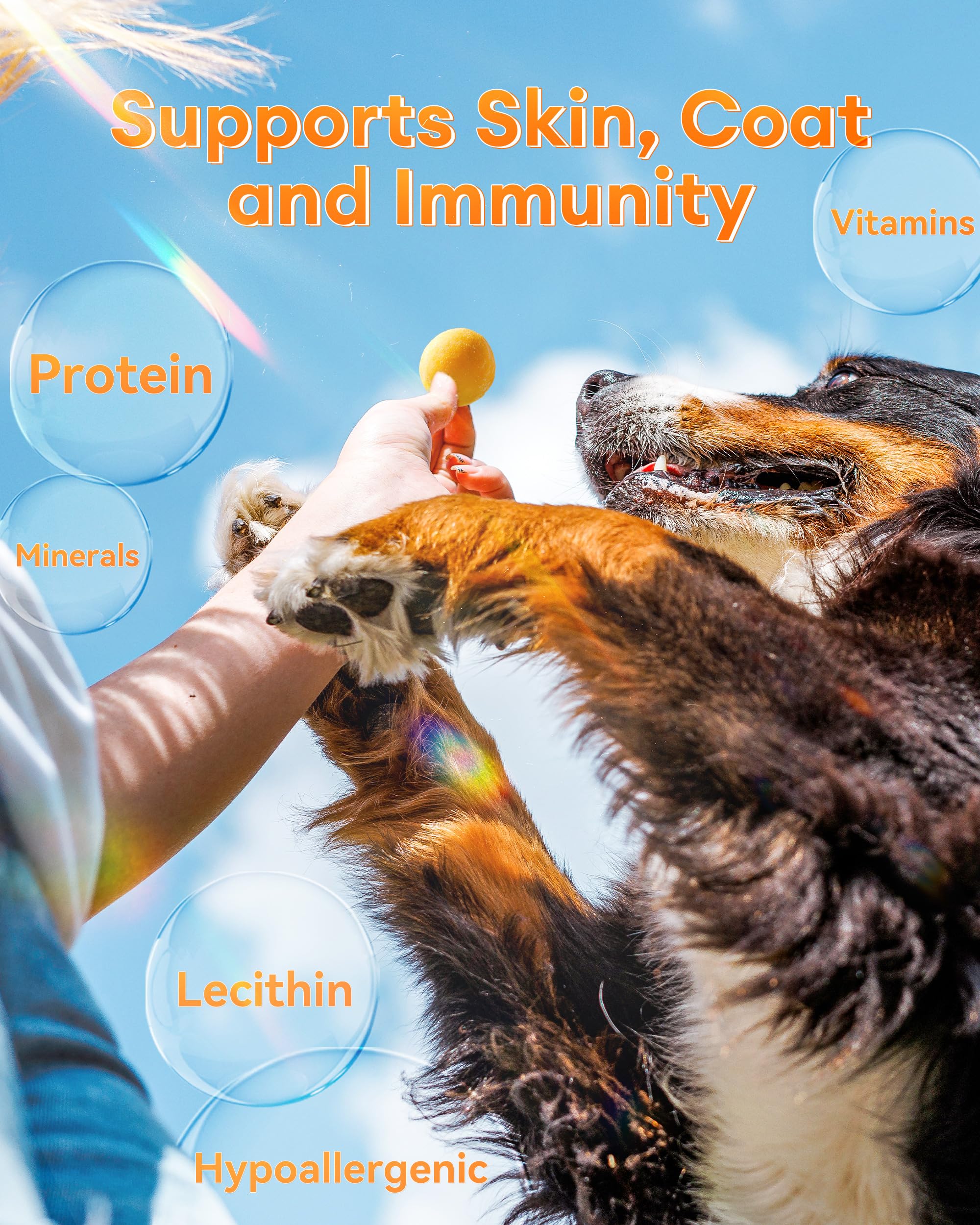 Pawaura soft texture bite, easy-to-chew quail yolk treat for pets.