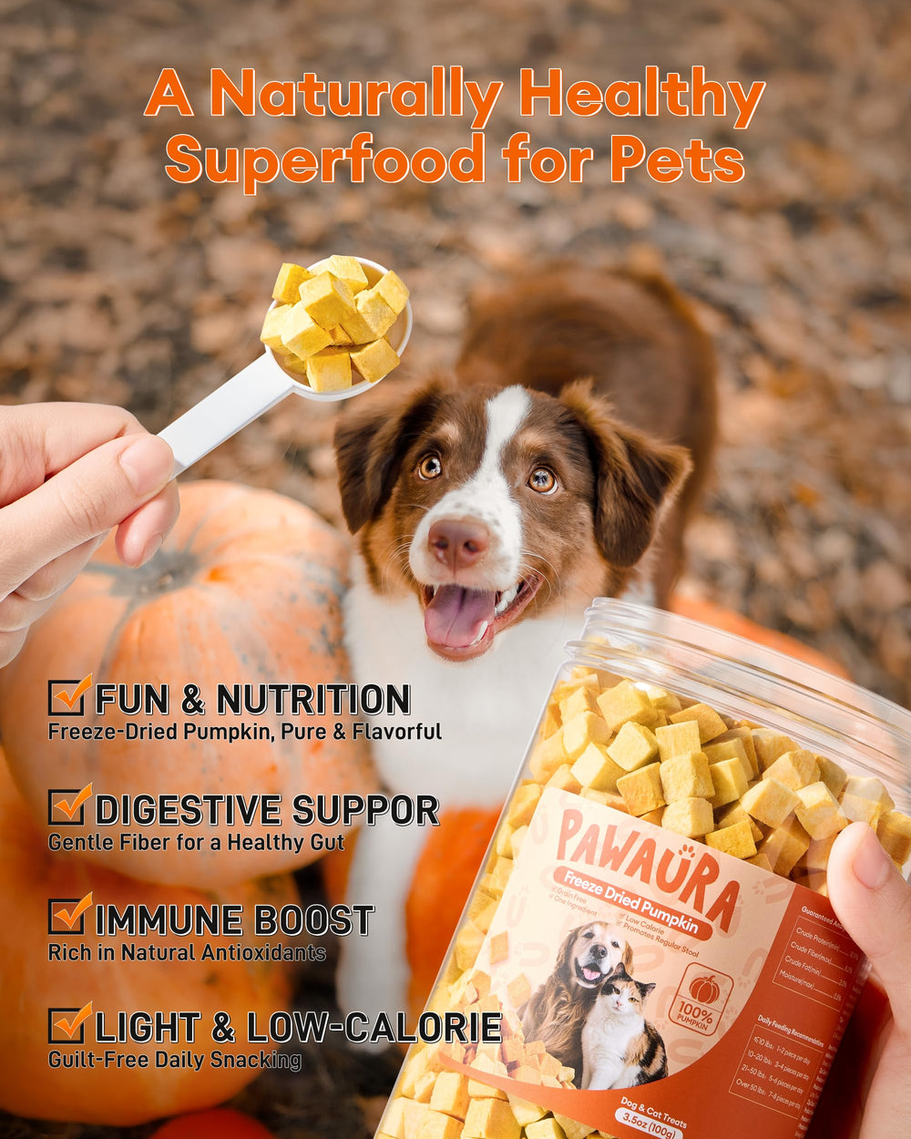 Pawaura pumpkin sourced from Southern farms offers fresh flavor and nutrients.