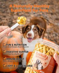 Pawaura pumpkin sourced from Southern farms offers fresh flavor and nutrients.