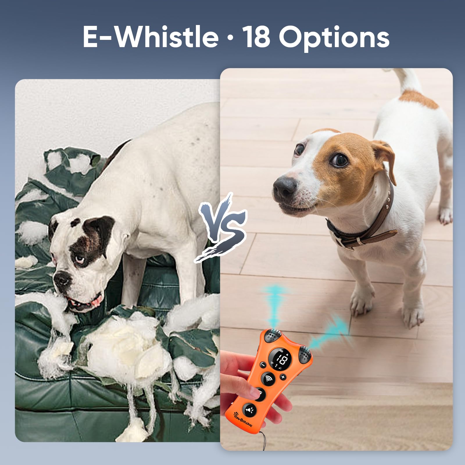 PawBehave anti-bark flashlight provides visibility and gentle cues at night.