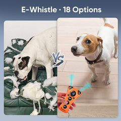 PawBehave anti-bark flashlight provides visibility and gentle cues at night.