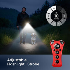 PawBehave flashlight demo during dusk for visual training aid
