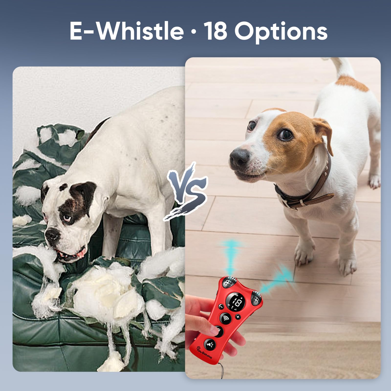 PawBehave strobe mode highlighting attention during training