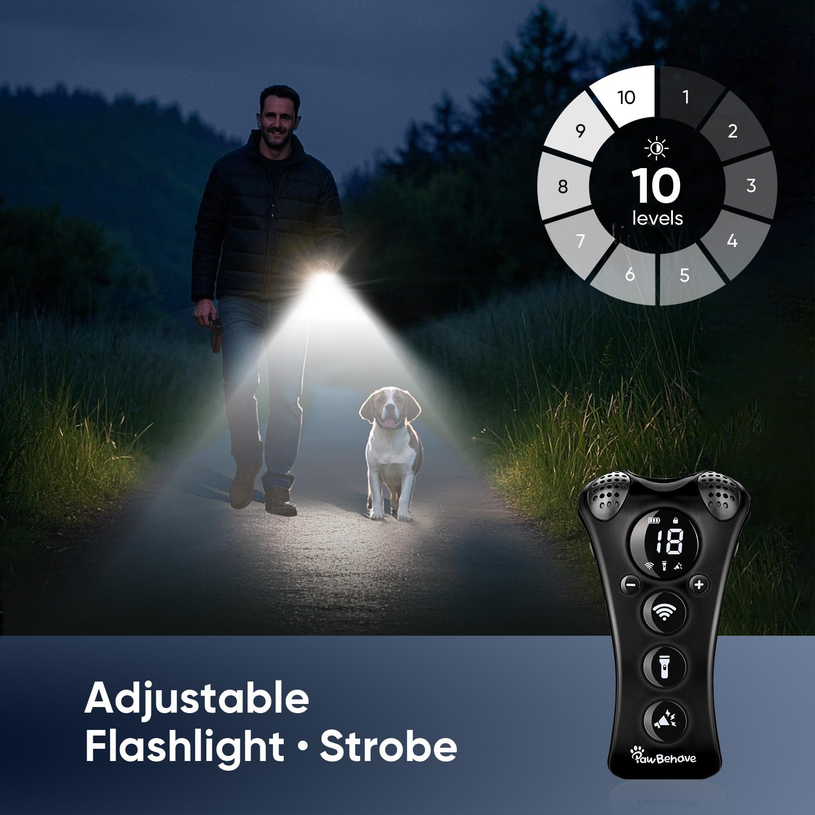 PawBehave LED flashlight on for nighttime training cues.