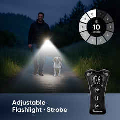 PawBehave LED flashlight on for nighttime training cues.