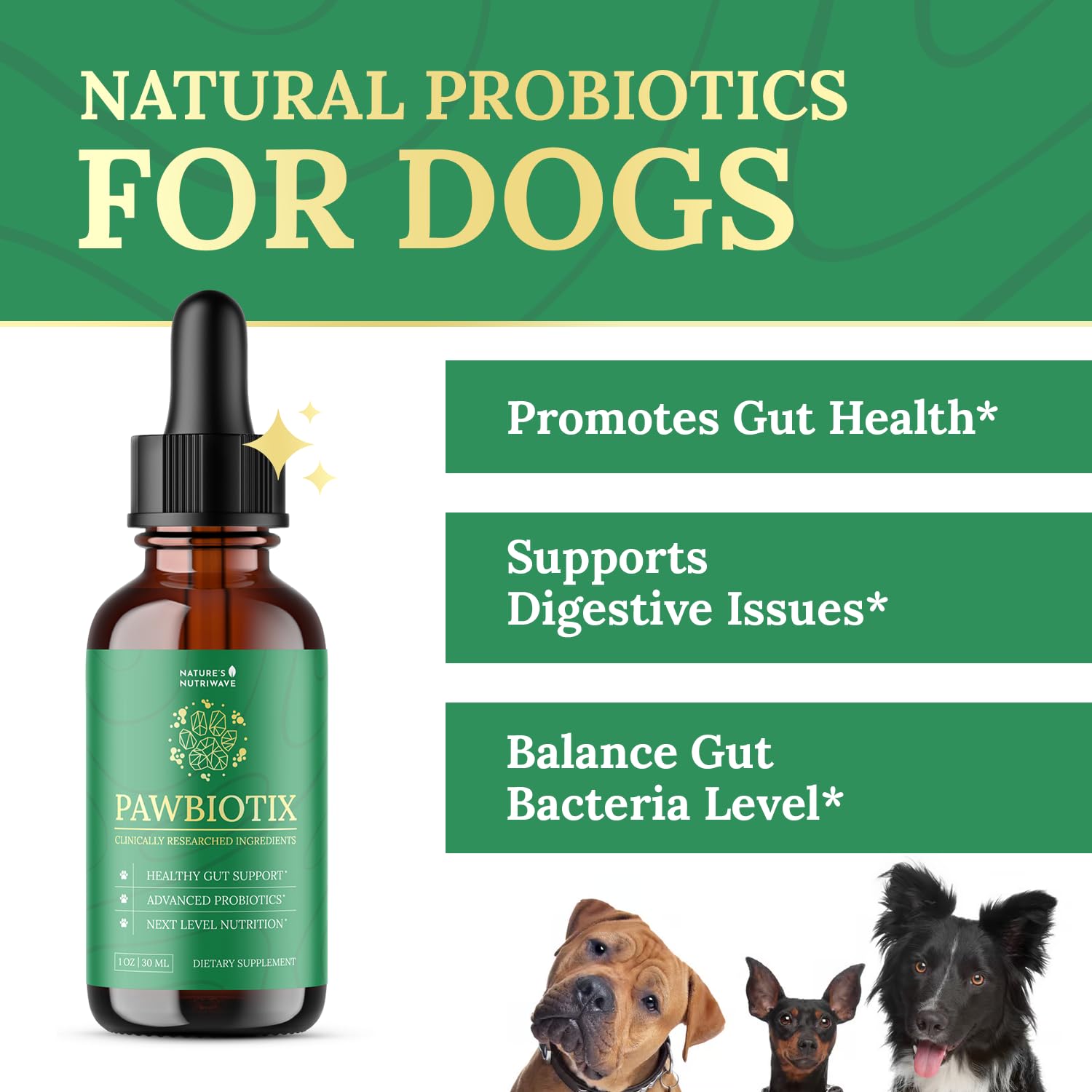 Pawbiotix liquid probiotic dropper shown for easy daily dosing.