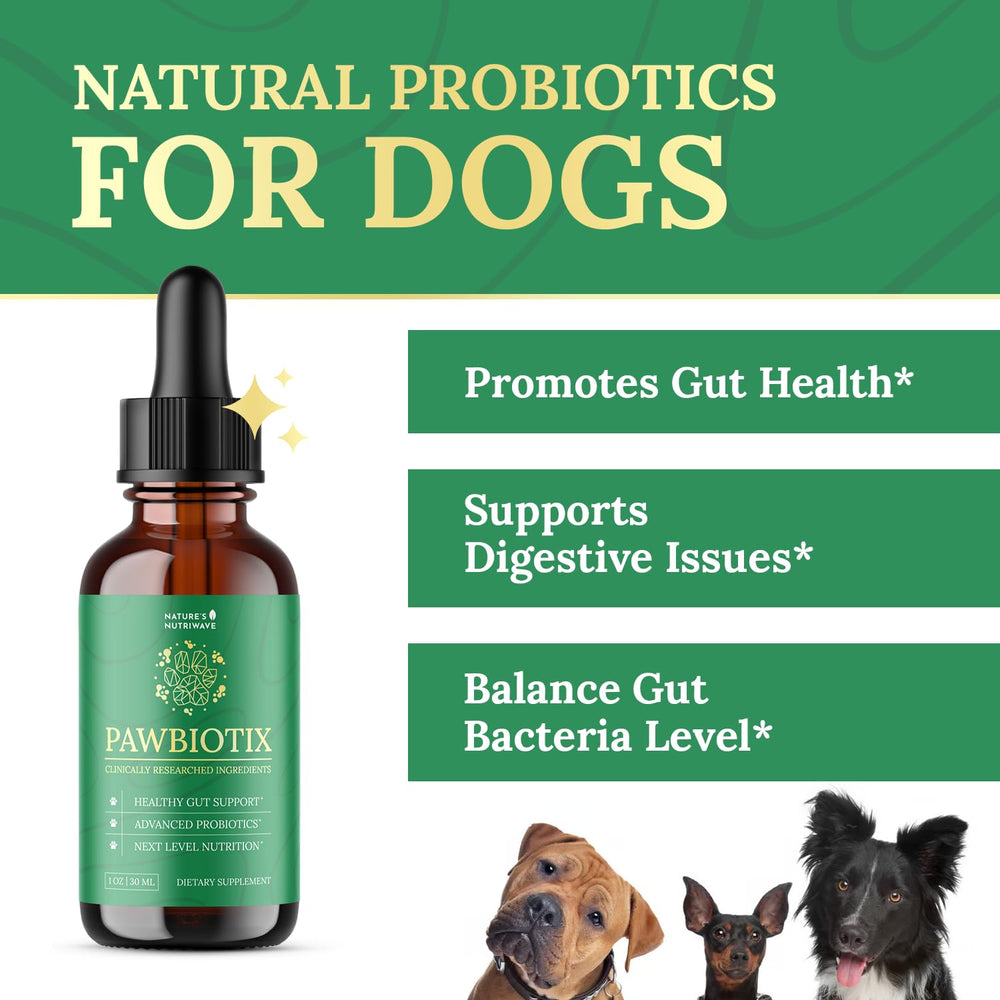 Pawbiotix liquid probiotic dropper shown for easy daily dosing.
