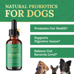 Pawbiotix liquid probiotic dropper shown for easy daily dosing.
