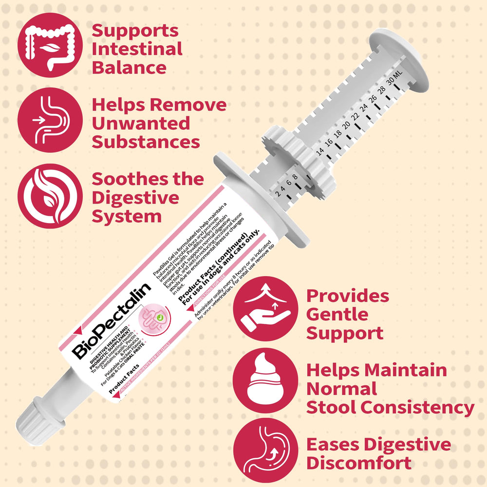 PawBliss paste used with cat for gentle tummy support