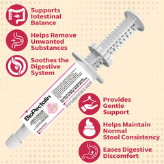 PawBliss paste used with cat for gentle tummy support