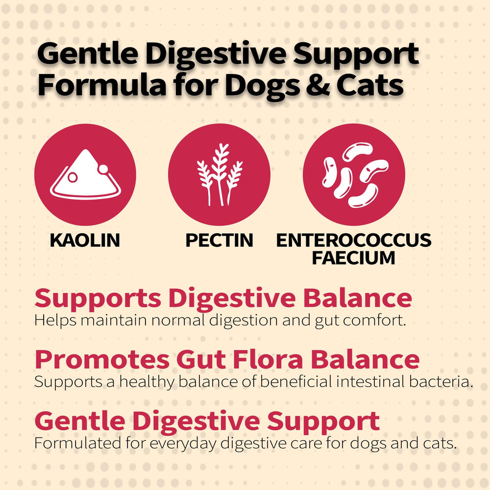 PawBliss paste with chicken flavor easily administered to dog