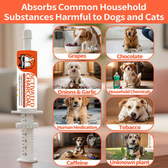 PawBliss applying charcoal tube to a pet’s mouth for fast support