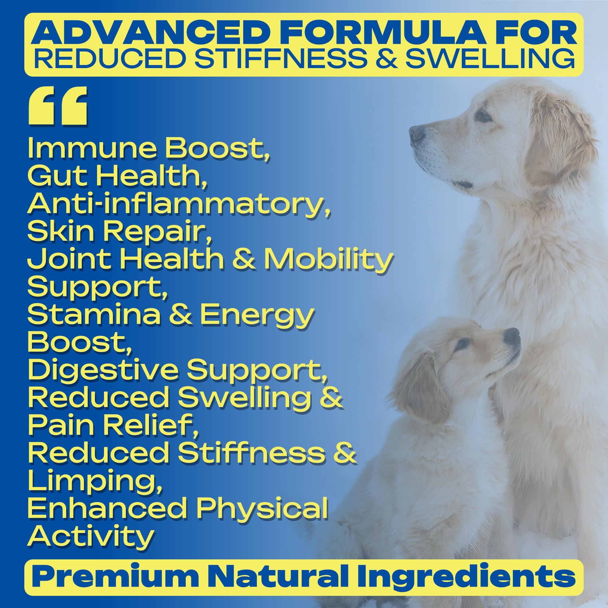 PawBliss omega-3 and collagen support for shiny coat.