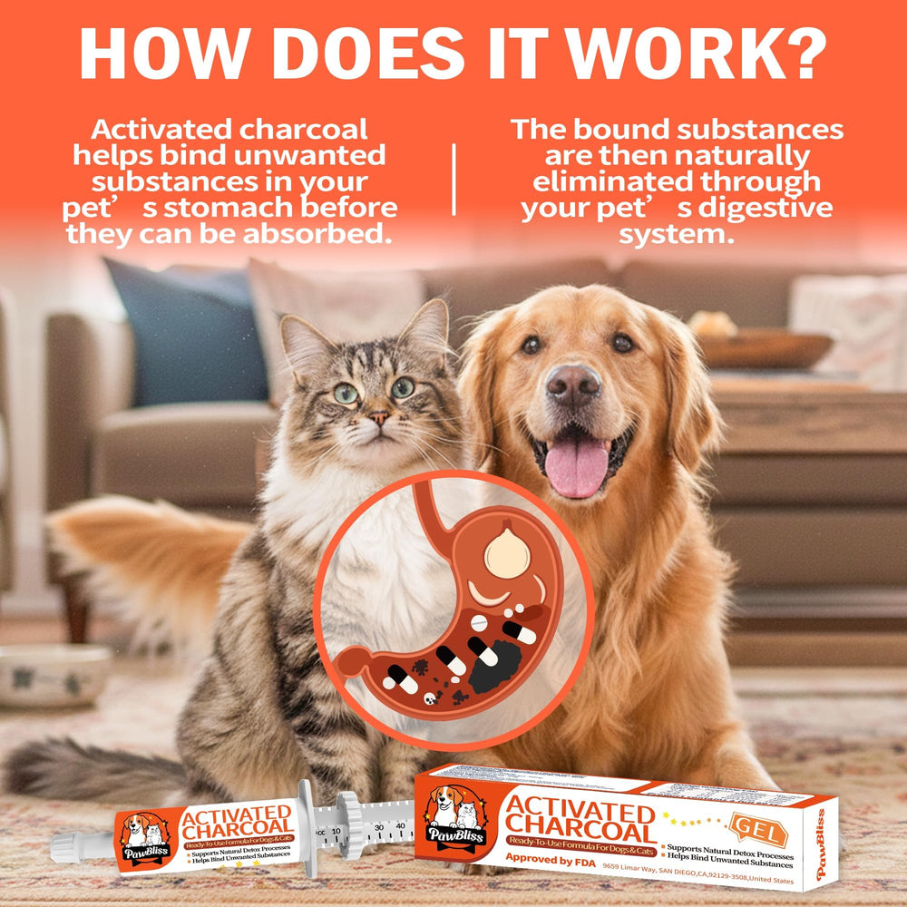 PawBliss first aid kit in travel bag for on-the-go care