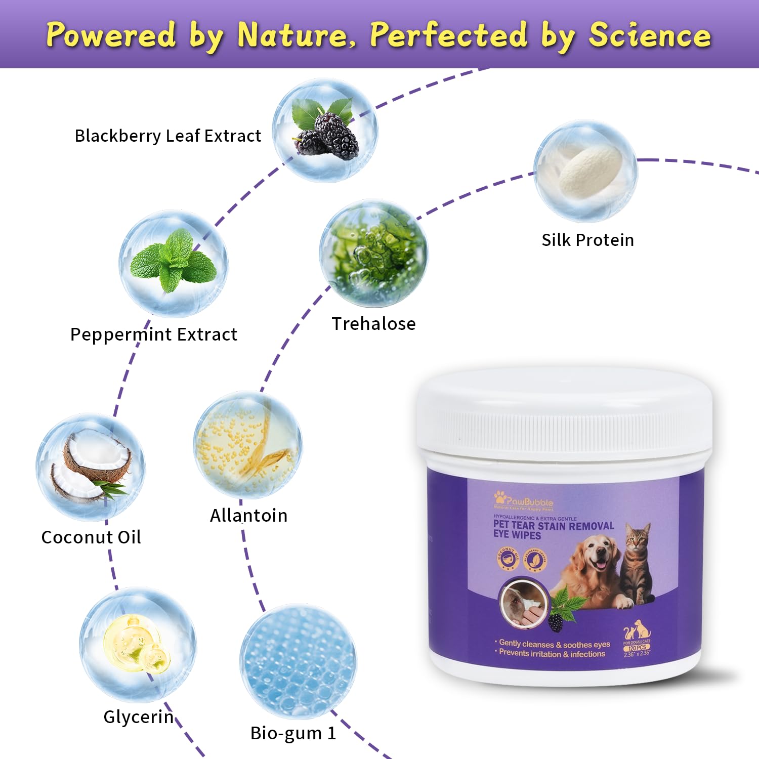 PawBubble Eye Wipes for dogs highlighting pet eye care on walks