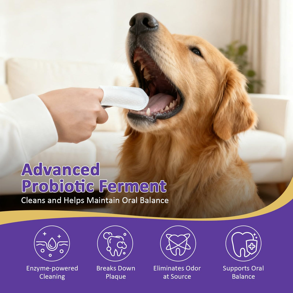 PawBubble probiotic oral-care formula maintains healthy balance in mouths.