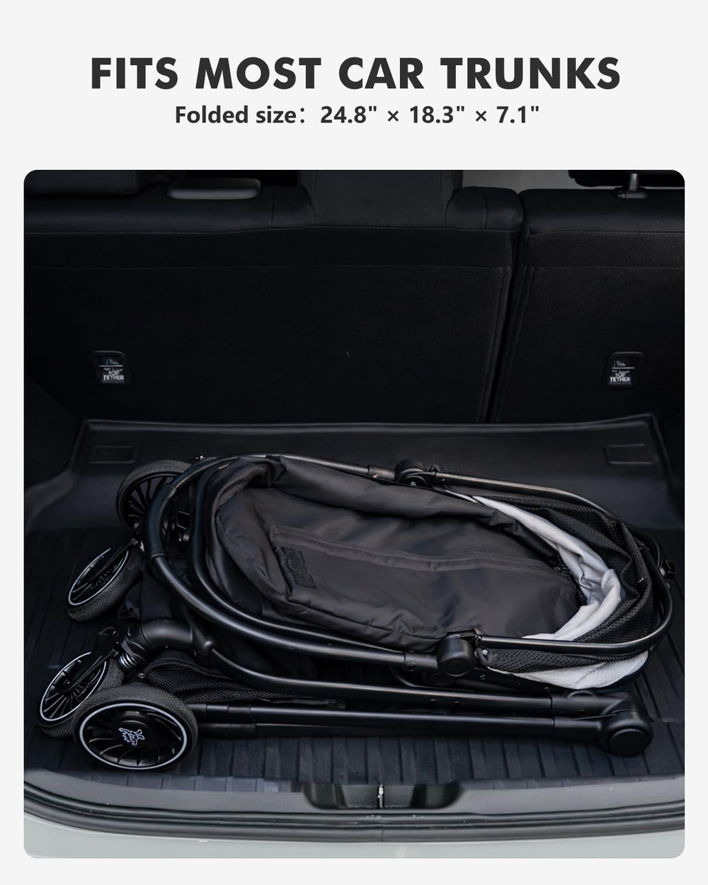 Pawccoli storage basket keeps essentials within reach during outings