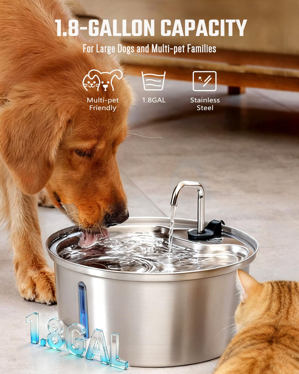 Pawccoli ultra-quiet operation at 21 decibels prevents startling pets.