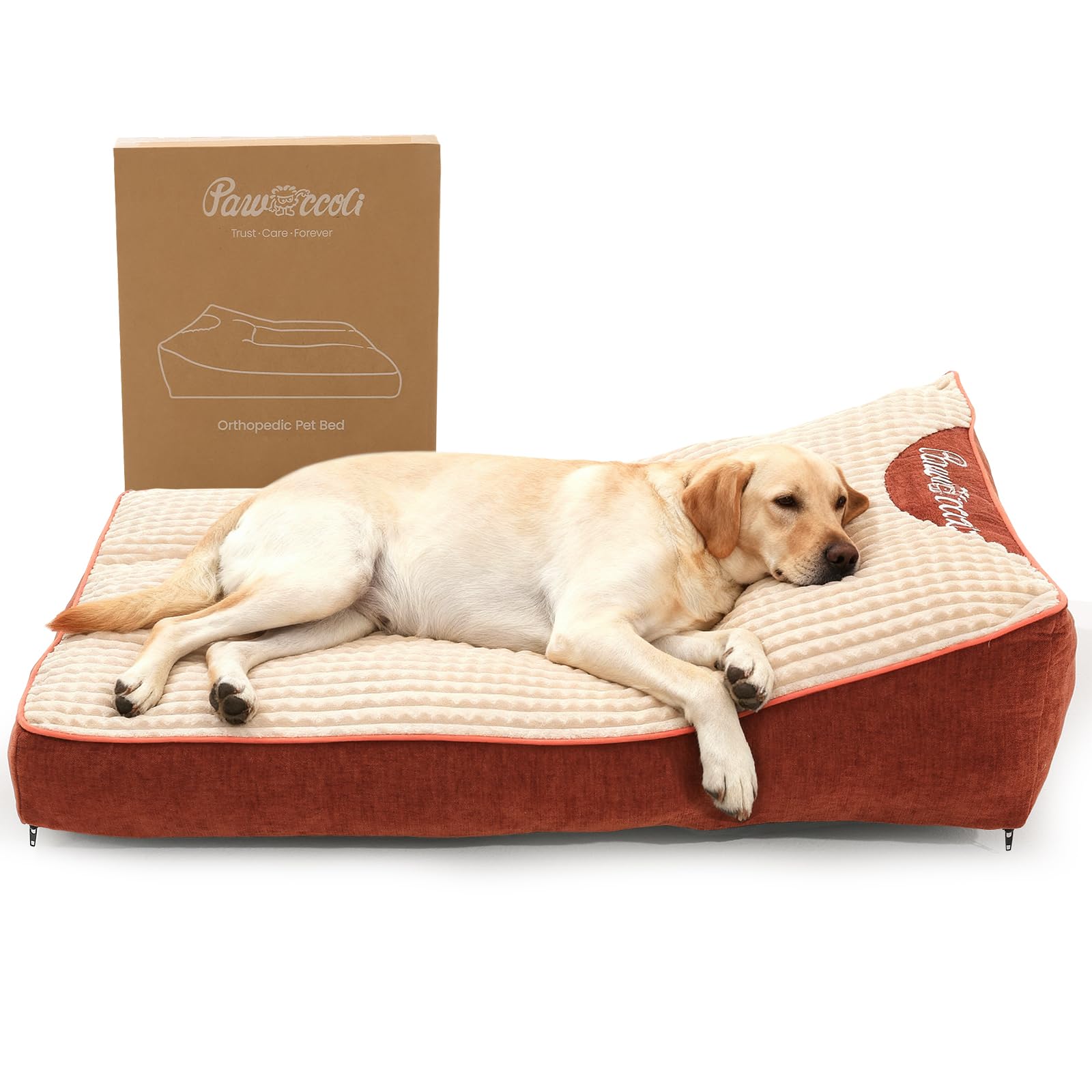 Pawccoli XL dog bed in crate offering roomy, supportive comfort.