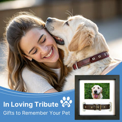 PAWCEPTIVE collar-display slot keeps your dog's collar neatly showcased.