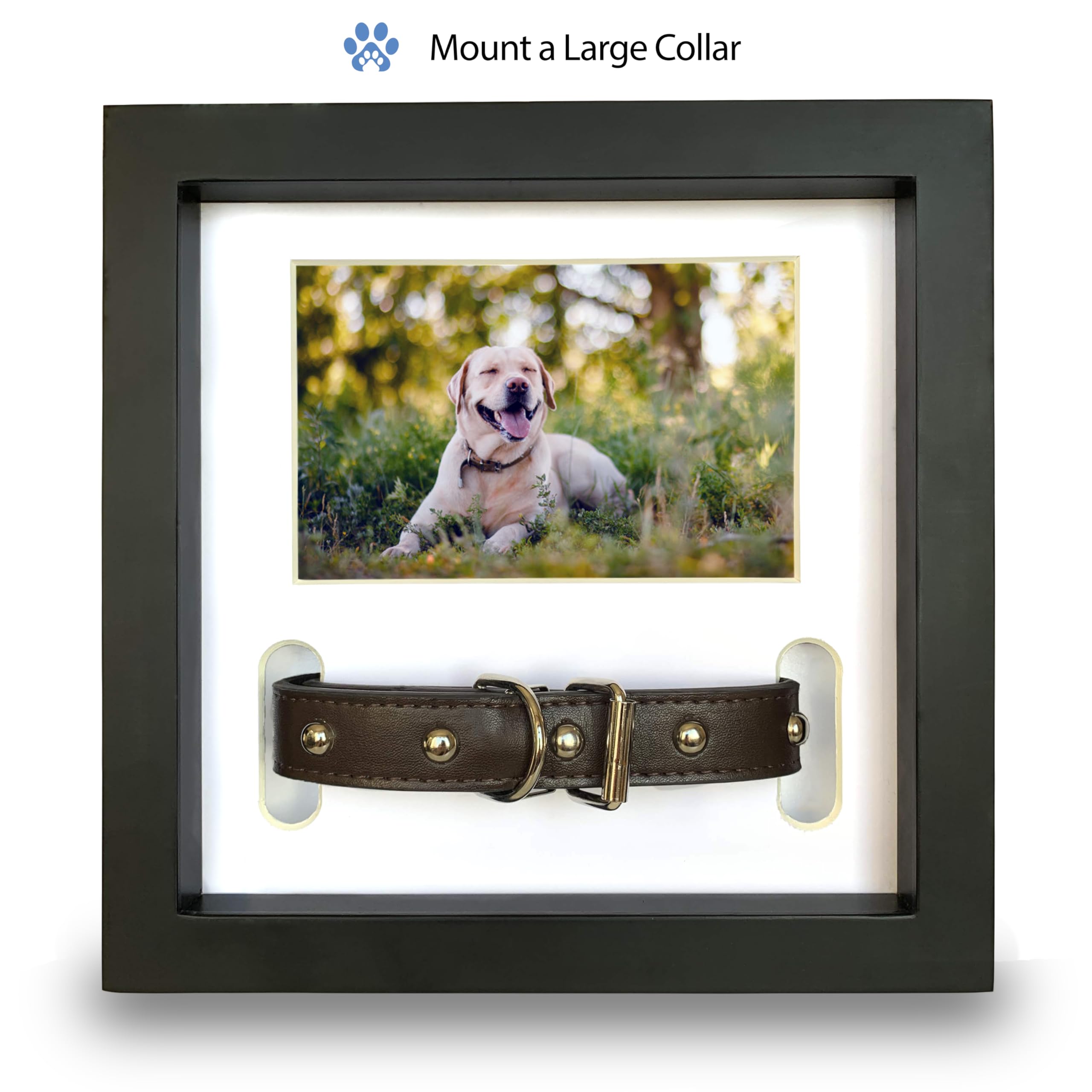 PAWCEPTIVE handwritten-note display adds a personal, tactile tribute.