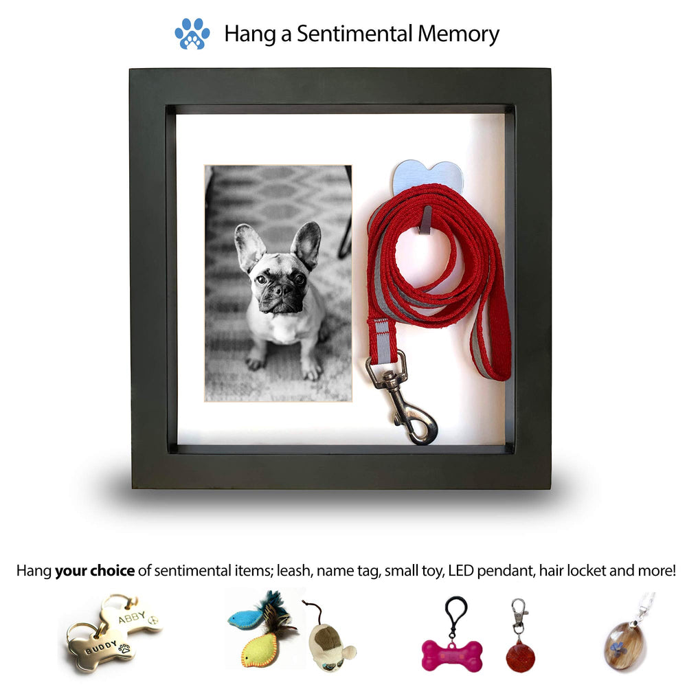 PAWCEPTIVE photo-and-collar combo shows image with your dog's collar.