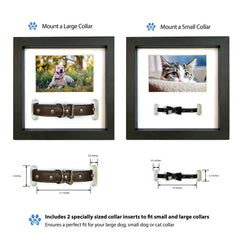 PAWCEPTIVE printed message display invites warm, heartfelt notes.