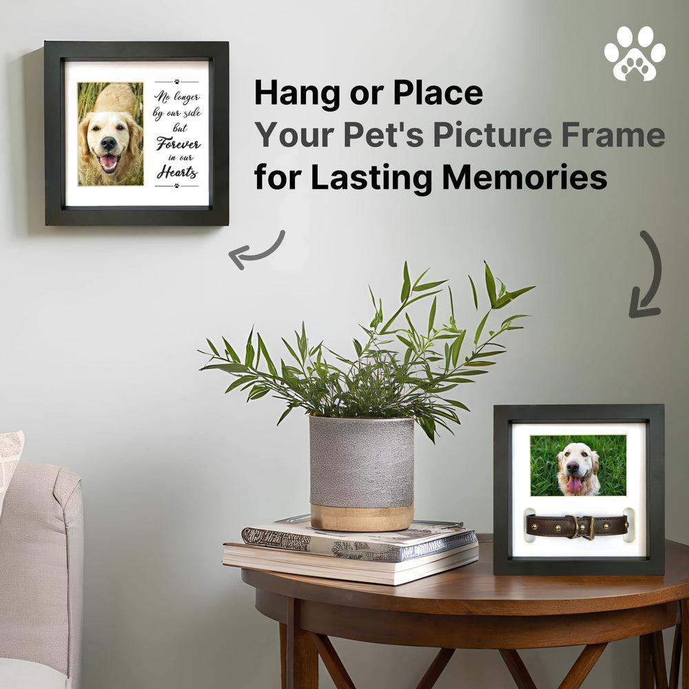 PAWCEPTIVE tabletop-display frame sits on shelves or mantels.